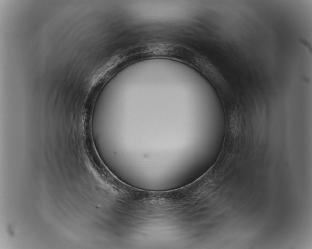 X0000099970730200806061629