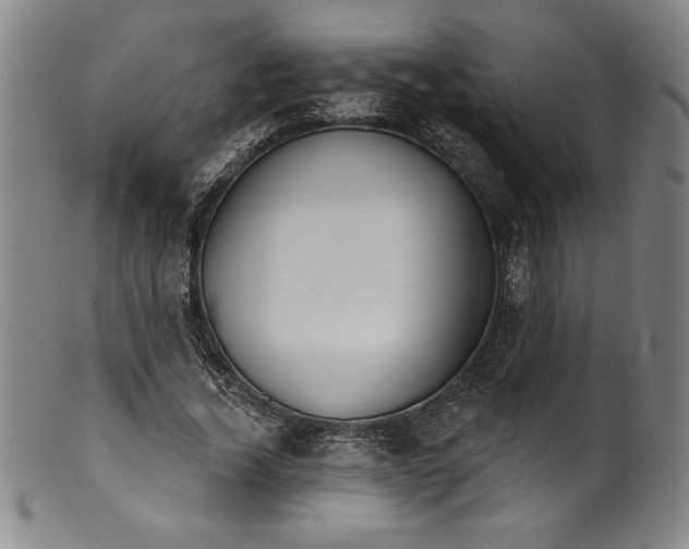 X0000099970732200806061629