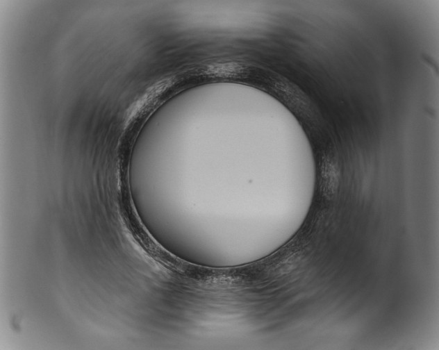 X0000099970734200806061629