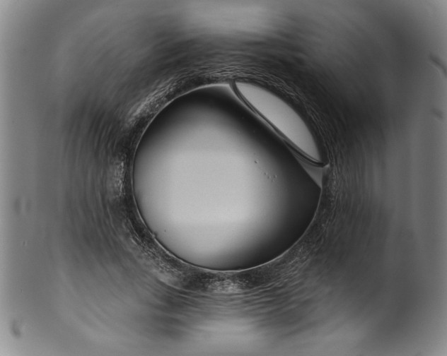 X0000099970735200806061629