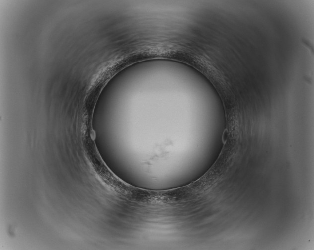 X0000099970736200806061629