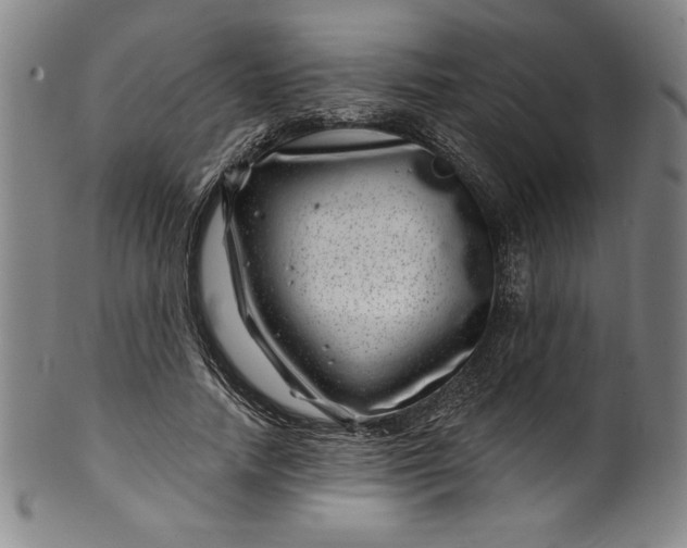 X0000099970738200806061629