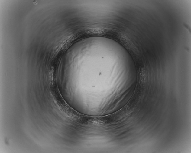 X0000099970739200806061629