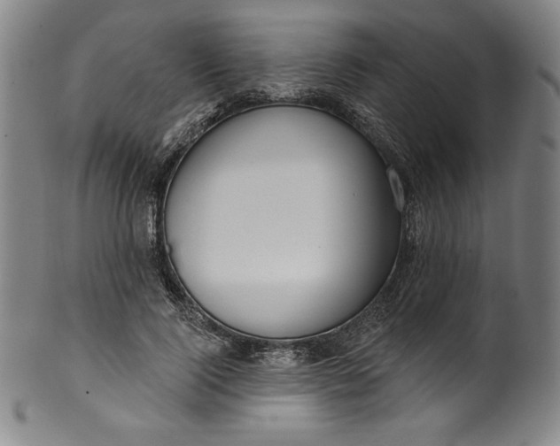 X0000099970740200806061629