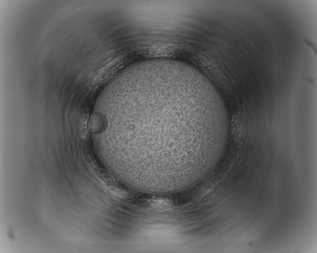 X0000099970741200806061629