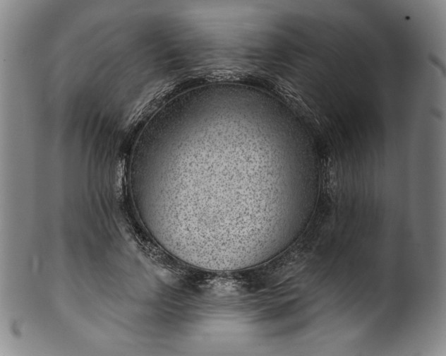 X0000099970742200806061629