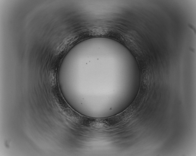 X0000099970743200806061629