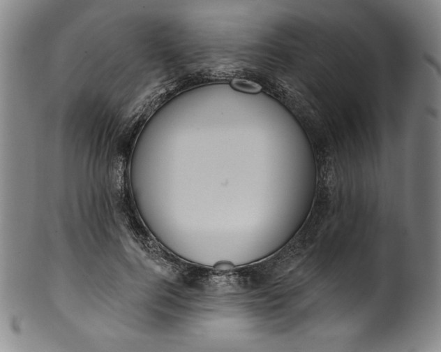 X0000099970744200806061629