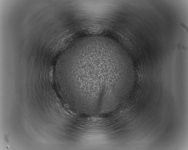 X0000099970745200806061629