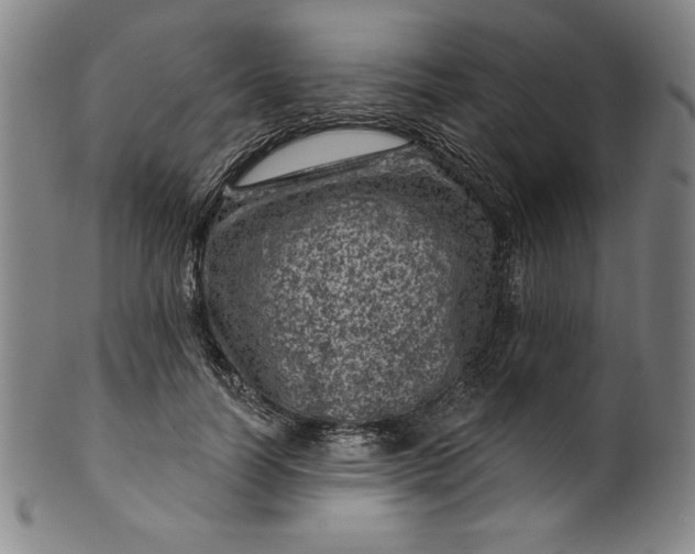 X0000099970746200806061629