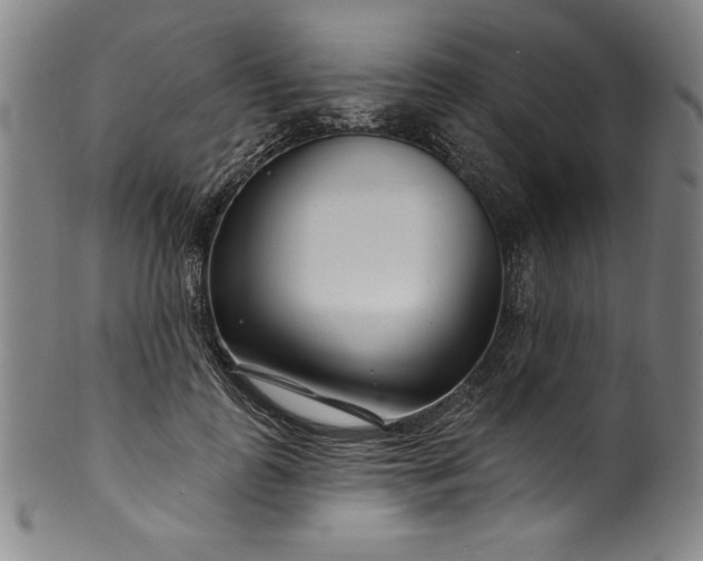 X0000099970747200806061629