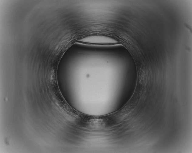 X0000099970748200806061629