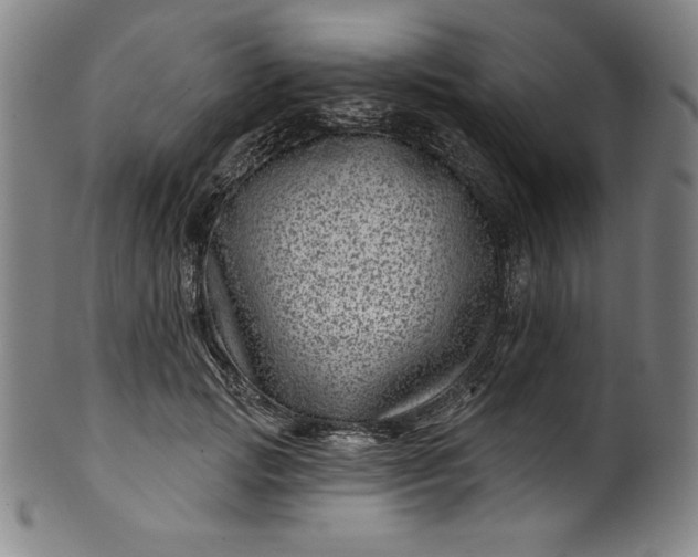 X0000099970749200806061629