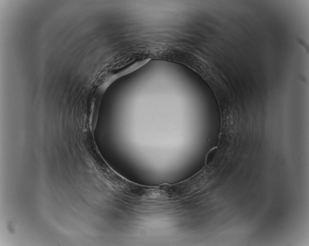 X0000099970750200806061629