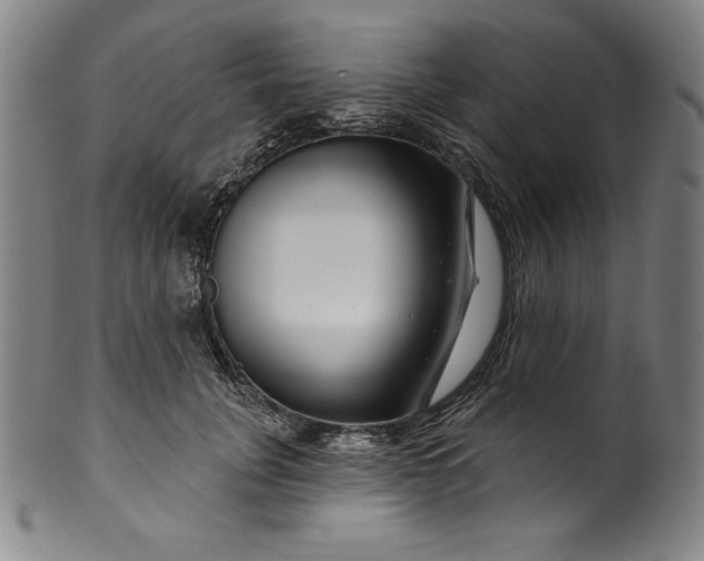 X0000099970751200806061629