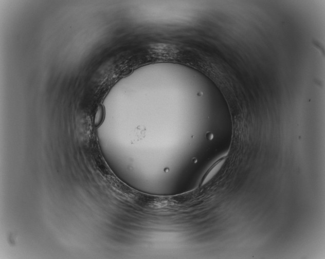 X0000099970752200806061629