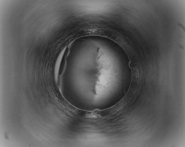 X0000099970754200806061630