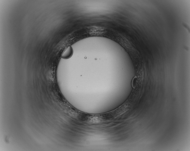 X0000099970755200806061630