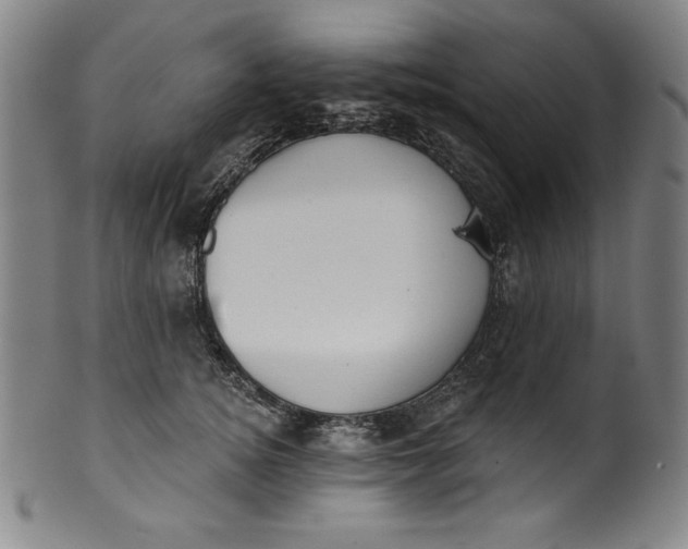 X0000099970756200806061630