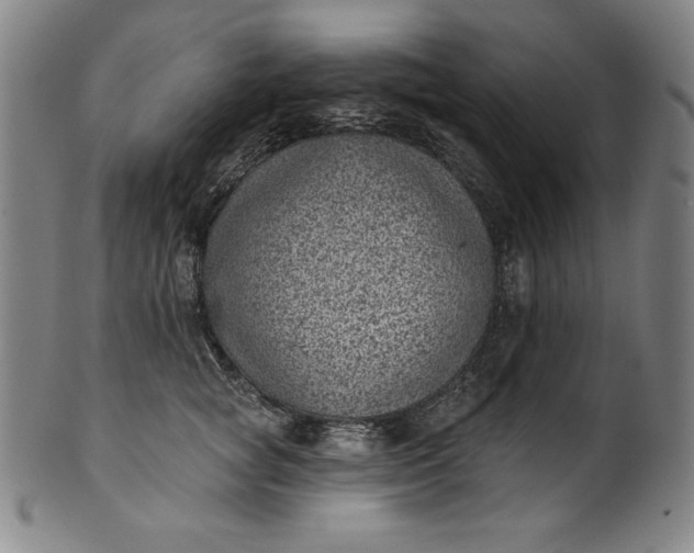 X0000099970757200806061630