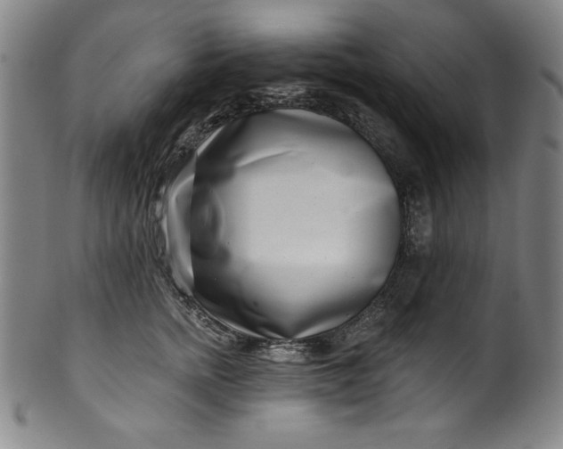 X0000099970758200806061630