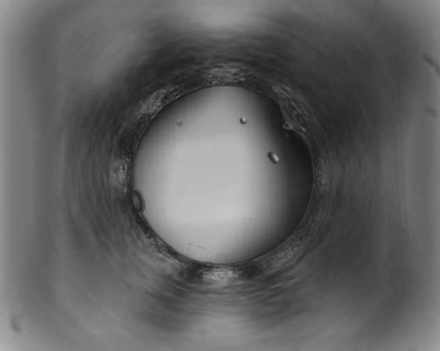 X0000099970759200806061630