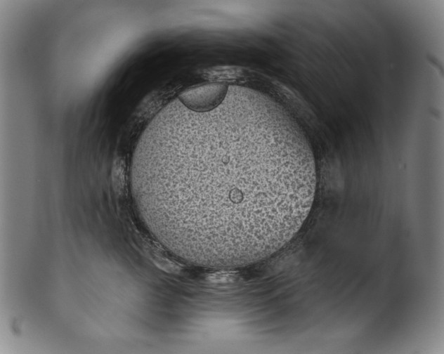 X0000099970761200806061630