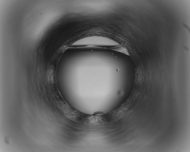 X0000099970762200806061630