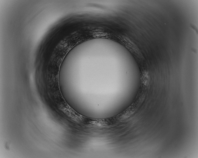 X0000099970763200806061630