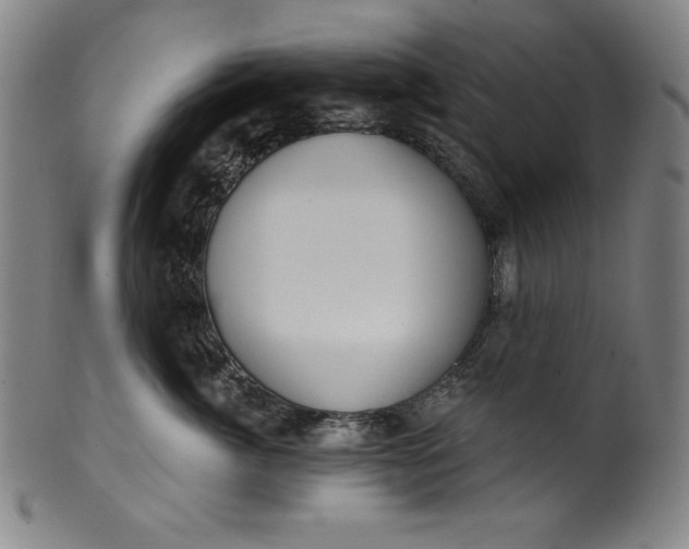 X0000099970764200806061630