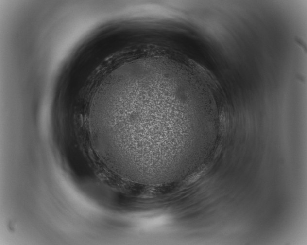 X0000099970765200806061630