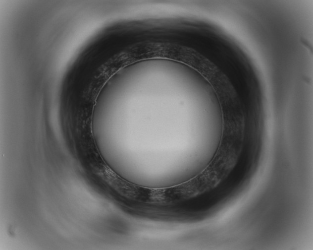 X0000099970766200806061630