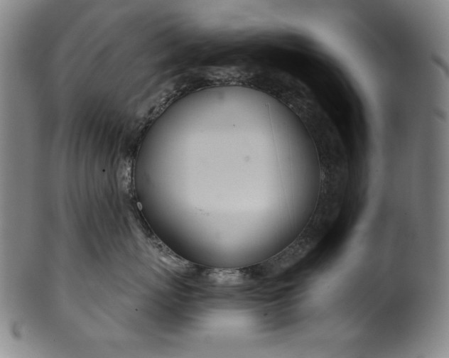 X0000099970767200806061630