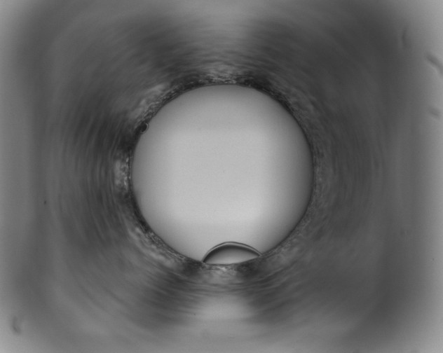 X0000099970768200806061630