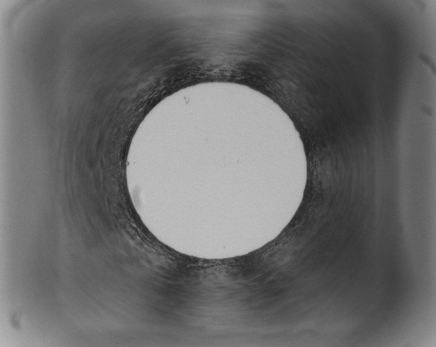 X0000099970769200806061629