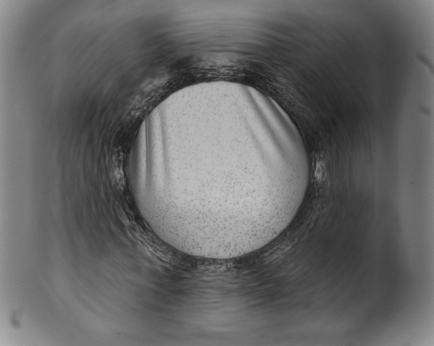 X0000099970771200806061629