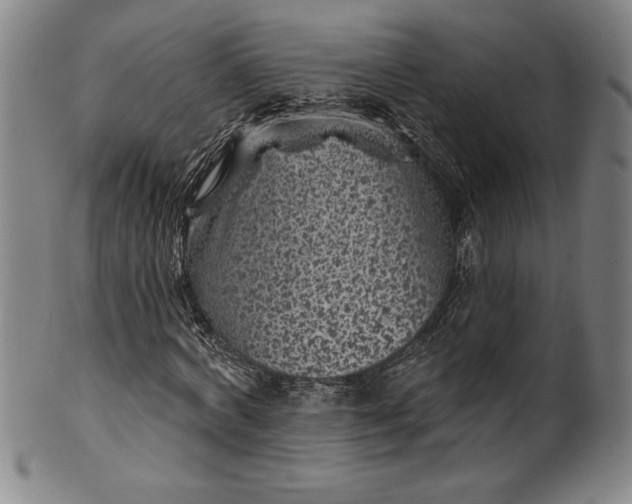 X0000099970772200806061629