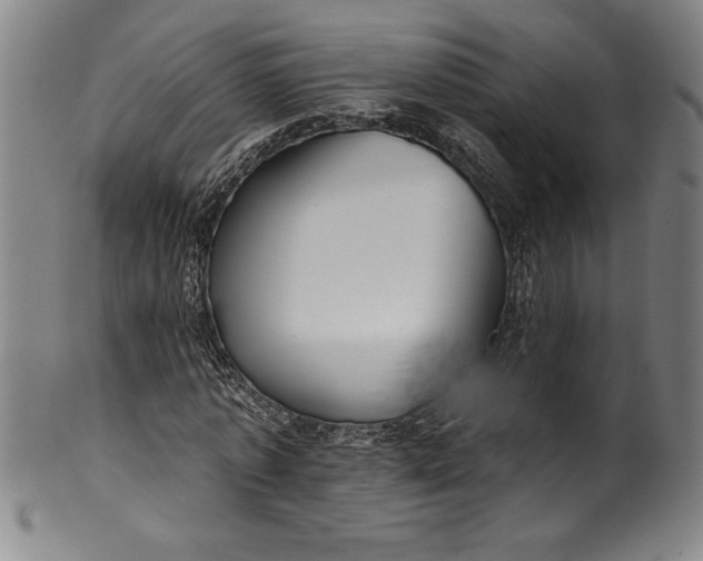 X0000099970773200806061629