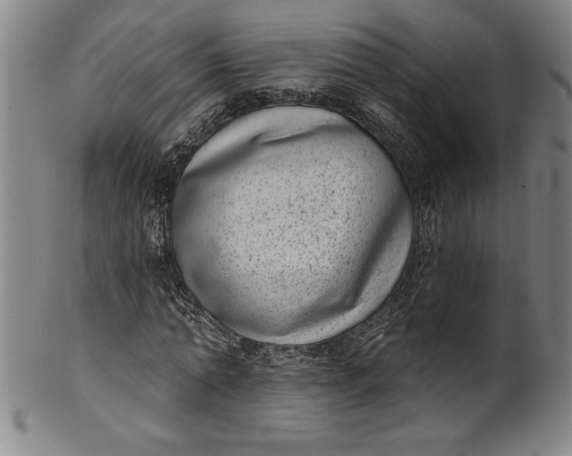 X0000099970774200806061629