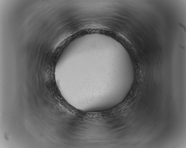 X0000099970775200806061629