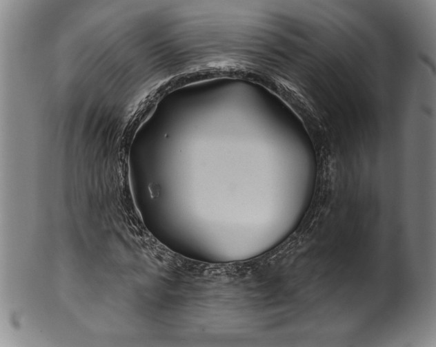 X0000099970776200806061629