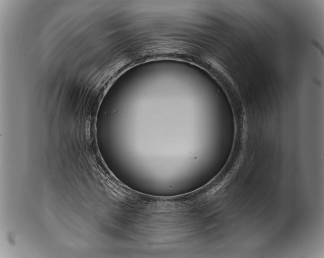 X0000099970777200806061629