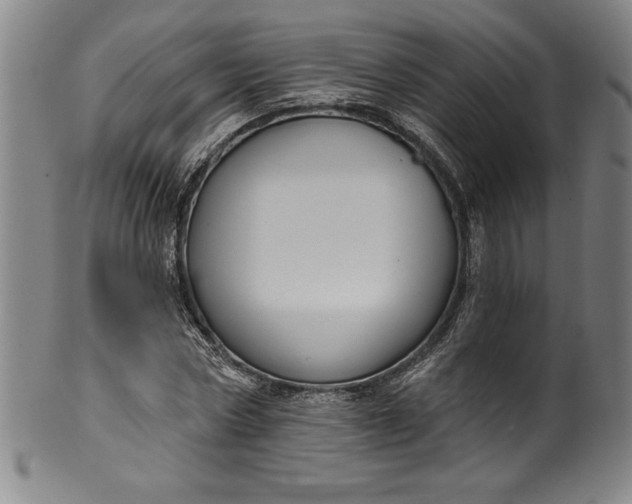 X0000099970778200806061629