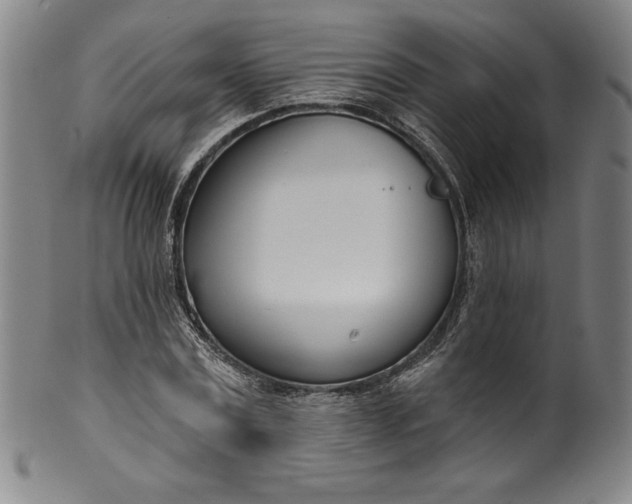 X0000099970779200806061629