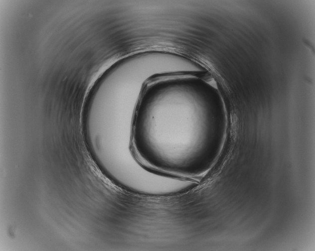 X0000099970780200806061629