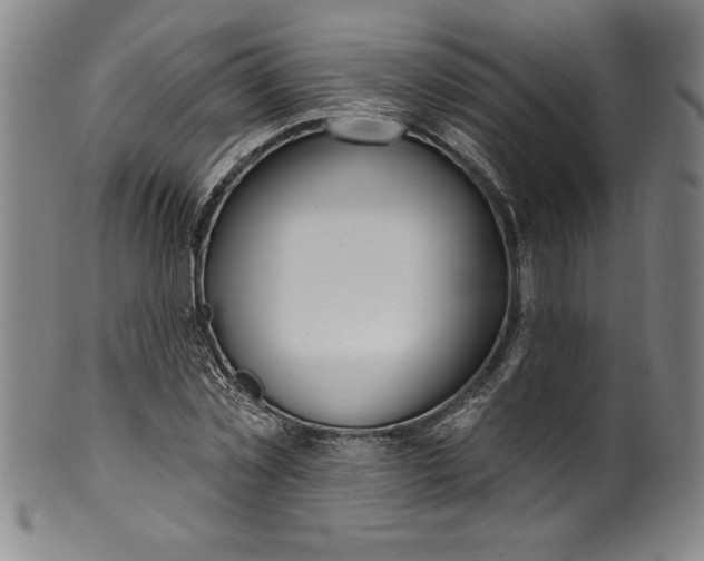 X0000099970781200806061629