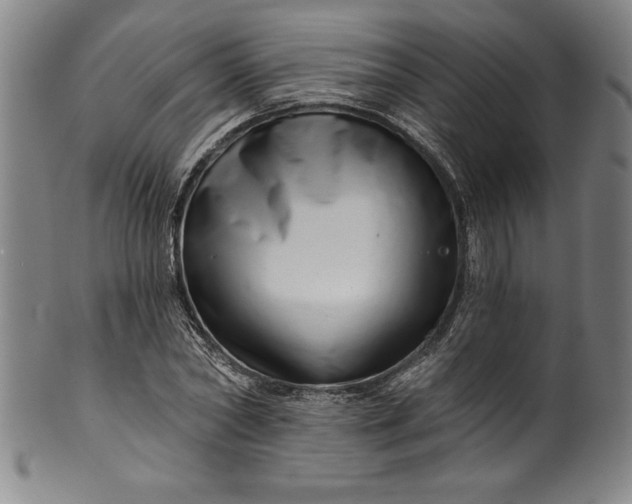 X0000099970782200806061629