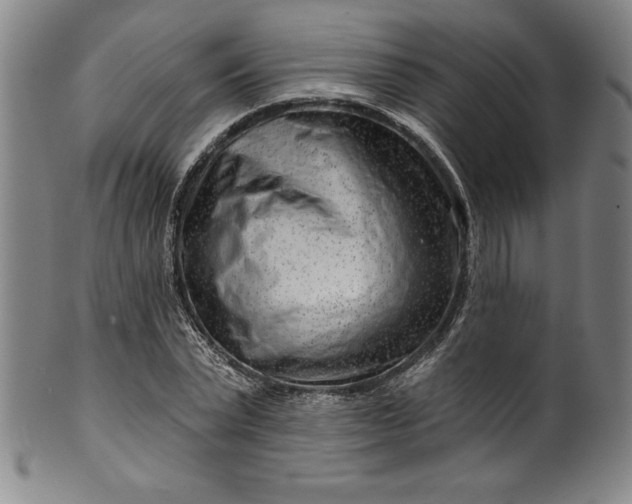 X0000099970783200806061629