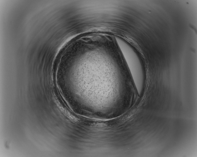 X0000099970784200806061629