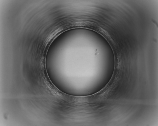 X0000099970786200806061629